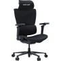 Кресло игровое Anda Seat X-Air Pro Size L Mesh Black (AD-WY-01-BBB-B01)