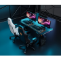 Компьютерный стол с электрорегулировкой высоты Anda Seat Terminator RGB Black