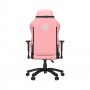Кресло игровое Anda Seat Phantom 3 Size L Pink (AD18Y-06-P-PV)