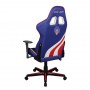 Кресло игровое Dxracer Formula OH/FH186/IWR